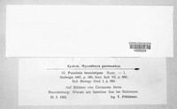 Image Associated With the Occurence